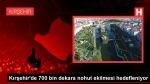 Kırşehir’de Nohut Üretiminde Amaç 700 Bin Dekar